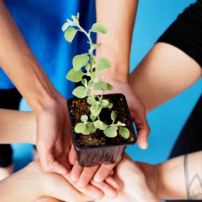 Mensen die op hun handen een plant dragen. Symboliserend voor sociale steun en veerkracht.